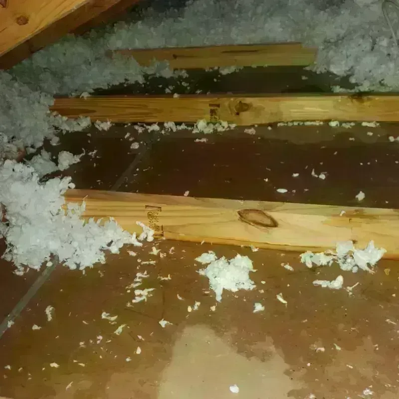 Attic Water Damage in Creston, IA